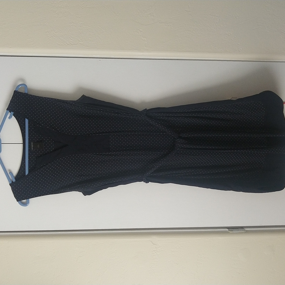 Ann Taylor Navy Polkadot Dress